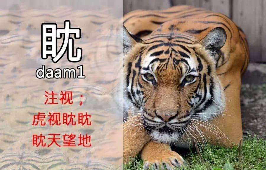 一个动作就可以“睇”出你嘅粤语造诣有几深! 一个动作就可以“睇”出你嘅粤语造诣有几深!