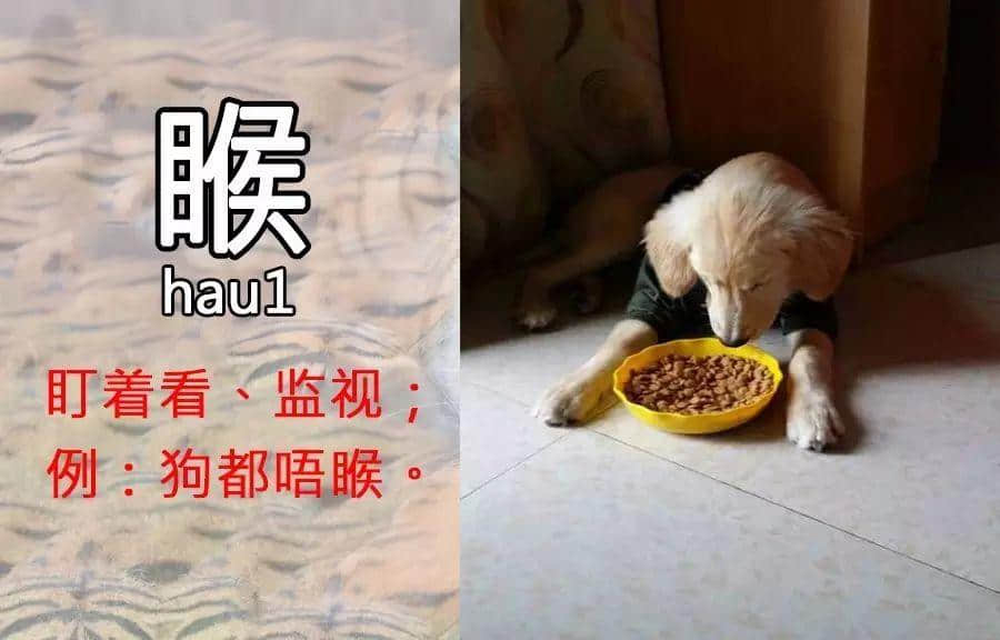 一个动作就可以“睇”出你嘅粤语造诣有几深! 一个动作就可以“睇”出你嘅粤语造诣有几深!