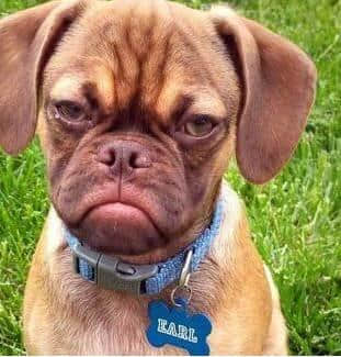 广东阿妈叫仔女起床嘅经典语录,总有一句兜巴星到你 广东阿妈叫仔女起床嘅经典语录,总有一句兜巴星到你