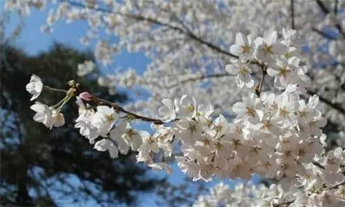 广州地名套路,你行过几多条? 广州地名套路,你行过几多条?