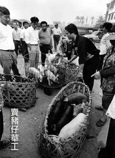 广州旧时用「契弟」嚟讽刺咩人?包你估唔到 广州旧时用「契弟」嚟讽刺咩人?包你估唔到