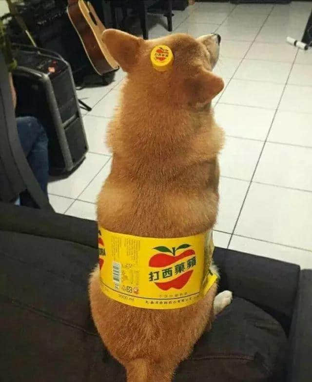 人类，还返啲“尊严”畀我！