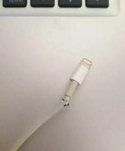 「2017年请对我好啲!」「2017:我拒绝!」 「2017年请对我好啲!」「2017:我拒绝!」