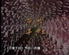 最好睇嘅广东综艺节目,喺你出世之前就已经上演…… 最好睇嘅广东综艺节目,喺你出世之前就已经上演……