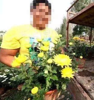 作为一只“狗”,我今日系咁过嘅! 作为一只“狗”,我今日系咁过嘅!