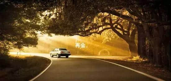 想做文明老广,呢啲词语记得常讲 想做文明老广,呢啲词语记得常讲