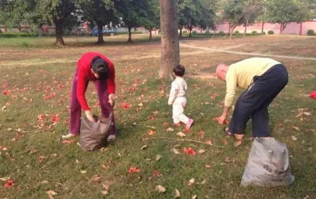 少女的鲜花,阿妈的汤渣 少女的鲜花,阿妈的汤渣