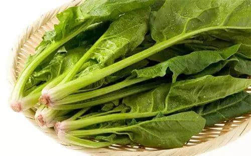 广州数十万男子与「菜」相爱多年,毫不自知 广州数十万男子与「菜」相爱多年,毫不自知