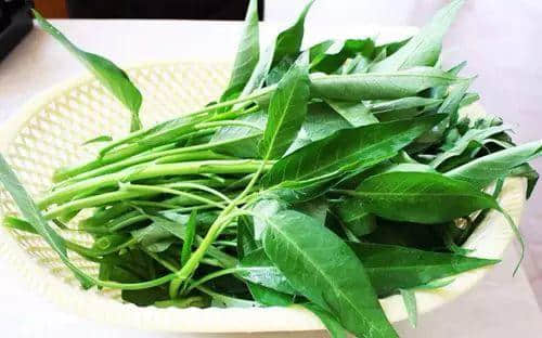 广州数十万男子与「菜」相爱多年,毫不自知 广州数十万男子与「菜」相爱多年,毫不自知