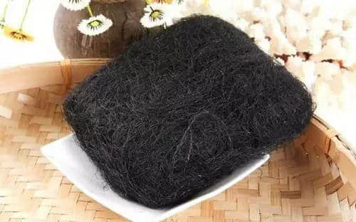 广州数十万男子与「菜」相爱多年,毫不自知 广州数十万男子与「菜」相爱多年,毫不自知