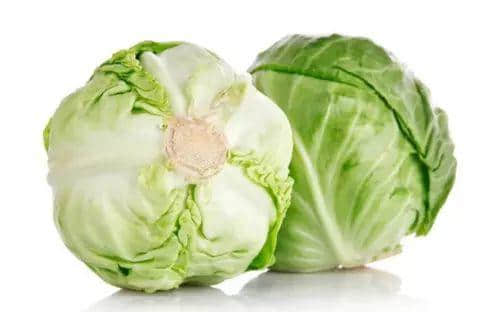 广州数十万男子与「菜」相爱多年,毫不自知 广州数十万男子与「菜」相爱多年,毫不自知