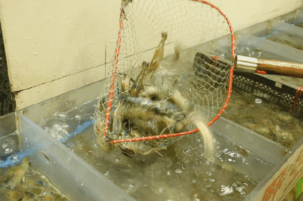 「有咩留返拜山先讲」,拜山其实有乜讲? 「有咩留返拜山先讲」,拜山其实有乜讲?