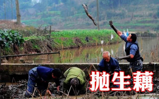 豉油粤语特辑,广东人先睇得明嘅咸湿 豉油粤语特辑,广东人先睇得明嘅咸湿