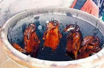 你食紧嘅,可能系“假烧鹅” 你食紧嘅,可能系“假烧鹅”