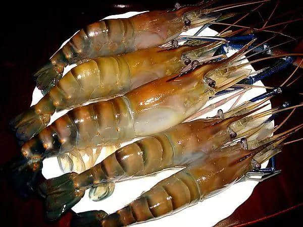 粤语嘅“内涵”,出乎你想象 粤语嘅“内涵”,出乎你想象