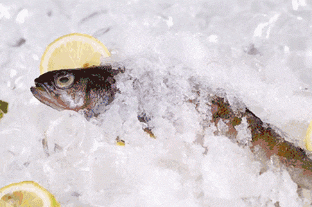 “广州人”测试题,准确度高达99.9% “广州人”测试题,准确度高达99.9%