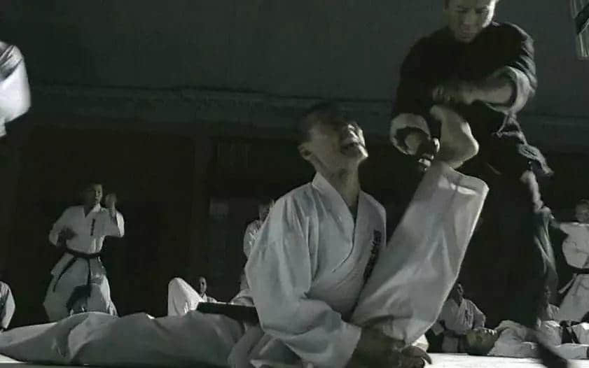 父母十大格斗兵器指南 父母十大格斗兵器指南