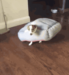 你凭咩过儿童节?年龄定智商? 你凭咩过儿童节?年龄定智商?