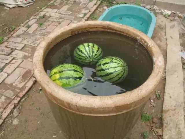 廿年前嘅消暑方法,有几多坚持到依家? 廿年前嘅消暑方法,有几多坚持到依家?