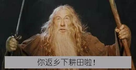 如果字幕组中出咗一个广州佬 如果字幕组中出咗一个广州佬