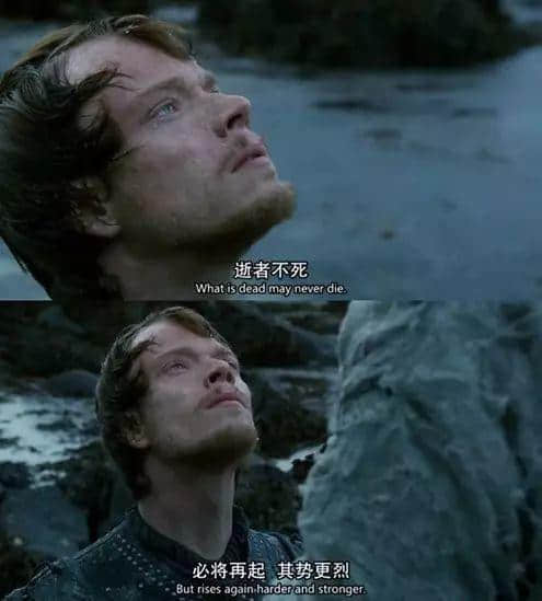 如果字幕组中出咗一个广州佬 如果字幕组中出咗一个广州佬