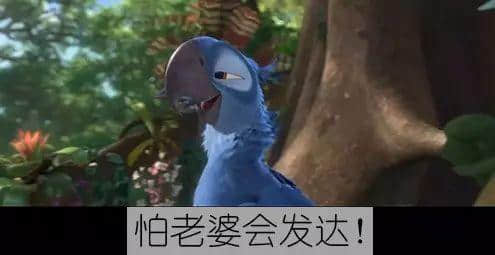 如果字幕组中出咗一个广州佬 如果字幕组中出咗一个广州佬