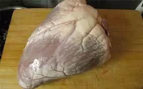 唔知啲牛杂系咩部位,你点对得住只牛? 唔知啲牛杂系咩部位,你点对得住只牛?