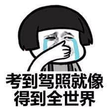 每个德艺双馨嘅老司机，都有一段催人泪下嘅契弟时光