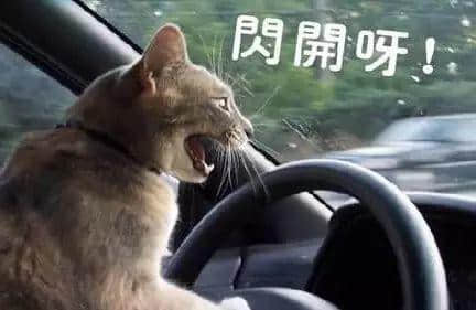 每个德艺双馨嘅老司机，都有一段催人泪下嘅契弟时光