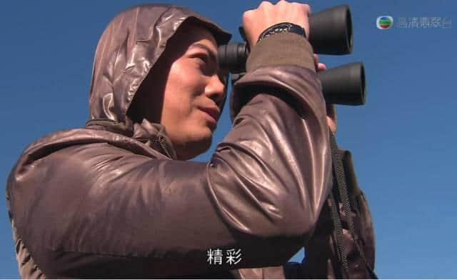 撞人撞期撞剧情,TVB先系史诗级“连环车祸”现场 撞人撞期撞剧情,TVB先系史诗级“连环车祸”现场