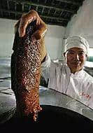 连肥猪肉都可以酿酒,广东人嘅脑洞我写100个服字 连肥猪肉都可以酿酒,广东人嘅脑洞我写100个服字