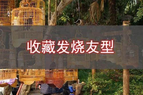 日日饮茶、钱使唔晒,广州真系有咁嘅人 日日饮茶、钱使唔晒,广州真系有咁嘅人