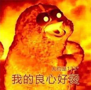 在广东,你永远不知道“冬天”和“明年”哪个先来 在广东,你永远不知道“冬天”和“明年”哪个先来