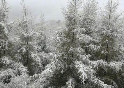 在广东,你永远不知道“冬天”和“明年”哪个先来 在广东,你永远不知道“冬天”和“明年”哪个先来