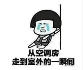 在广东,你永远不知道“冬天”和“明年”哪个先来 在广东,你永远不知道“冬天”和“明年”哪个先来