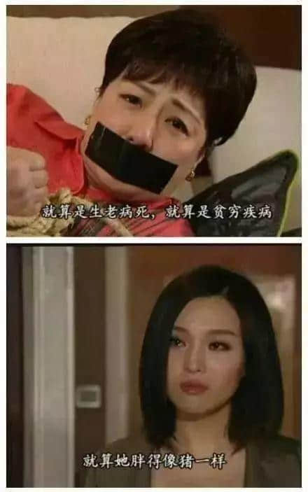 八婆克星陈豪再度出山 | 真·钢铁直男 八婆克星陈豪再度出山 | 真·钢铁直男