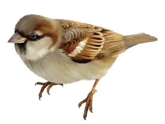 粤闻悦说:百万雄师打麻雀 粤闻悦说:百万雄师打麻雀