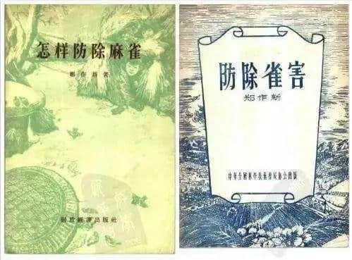 粤闻悦说:百万雄师打麻雀 粤闻悦说:百万雄师打麻雀