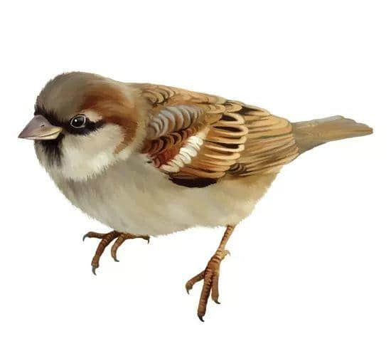 粤闻悦说:百万雄师打麻雀 粤闻悦说:百万雄师打麻雀