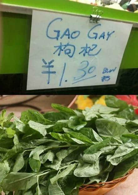 为什么外省朋友总是get不到广东人的笑点? 为什么外省朋友总是get不到广东人的笑点?