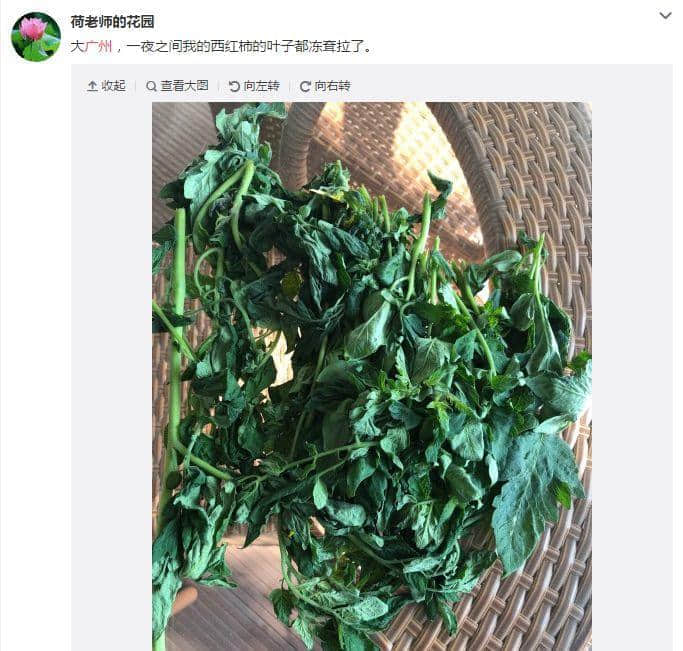 广东人:我哋唔care有冇蓝月,只求天气回暖 广东人:我哋唔care有冇蓝月,只求天气回暖