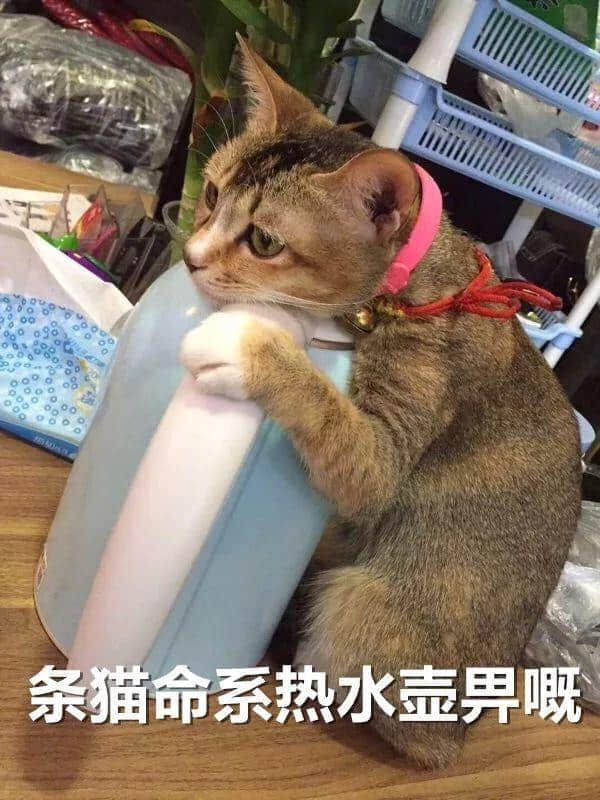 广东人:我哋唔care有冇蓝月,只求天气回暖 广东人:我哋唔care有冇蓝月,只求天气回暖