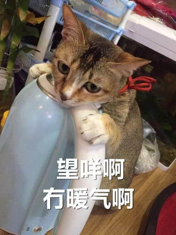 广东人:我哋唔care有冇蓝月,只求天气回暖 广东人:我哋唔care有冇蓝月,只求天气回暖