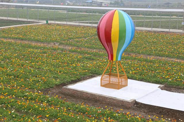 离广佛最近的高山花海，情人节男朋友不带你去就分手吧