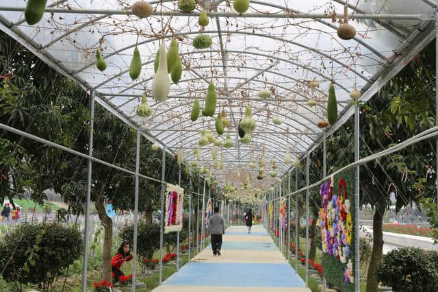 离广佛最近的高山花海，情人节男朋友不带你去就分手吧