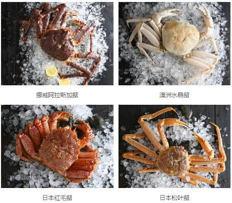 “蟹蟹你的爱”小蟹哥野生美味盛宴隆重开席! “蟹蟹你的爱”小蟹哥野生美味盛宴隆重开席!