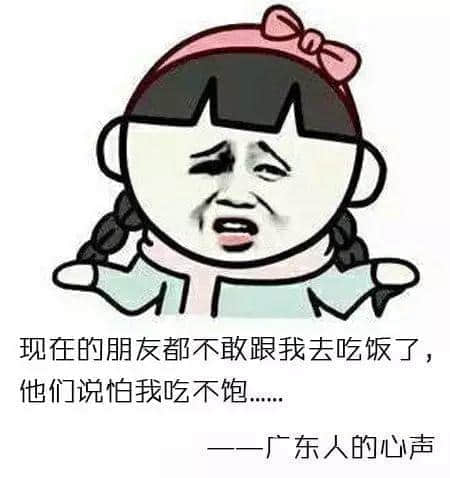 一个广东人的自白 一个广东人的自白