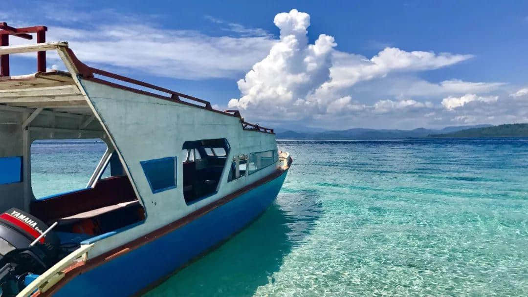 你有一份“湿身指南”等待领取 你有一份“湿身指南”等待领取