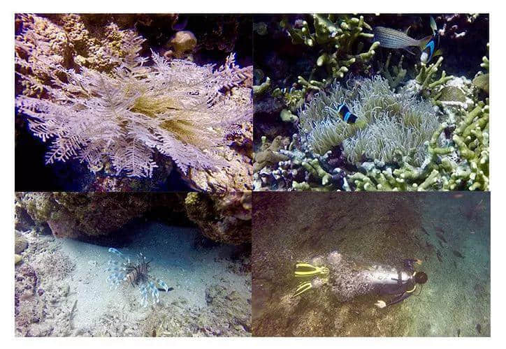 你有一份“湿身指南”等待领取 你有一份“湿身指南”等待领取