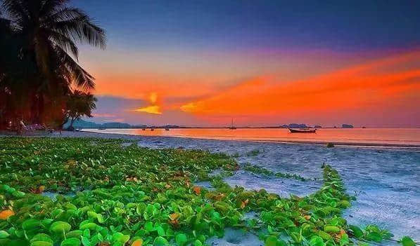 你有一份“湿身指南”等待领取 你有一份“湿身指南”等待领取